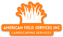 American Field Services Inc